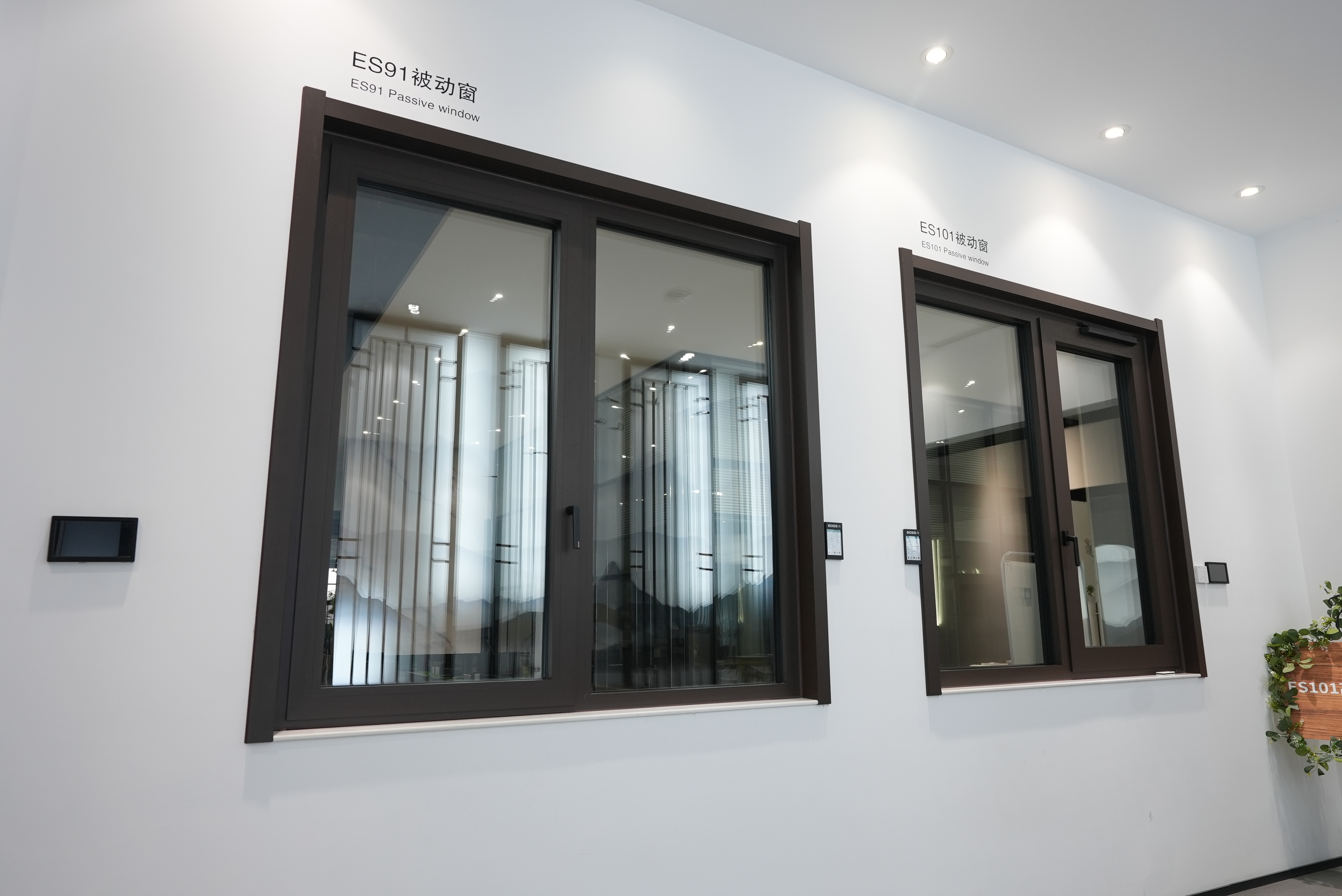 Passive Window-2.JPG